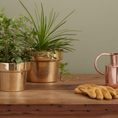 Chief of Staff / Executive Assistant to Global Private Equity Fund Manager